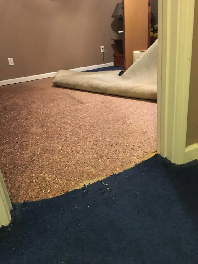 Carpet pad removal revealing water damage during Water Mitigation Services in Palmer Town