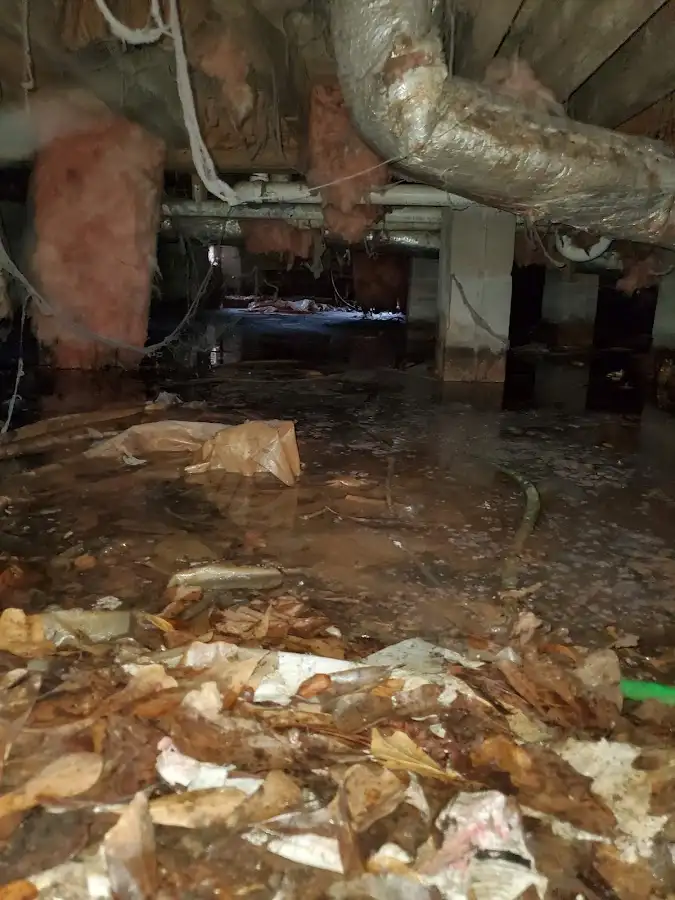 Crawl space flood assessment for Commercial Water Damage Restoration in Palmer Town