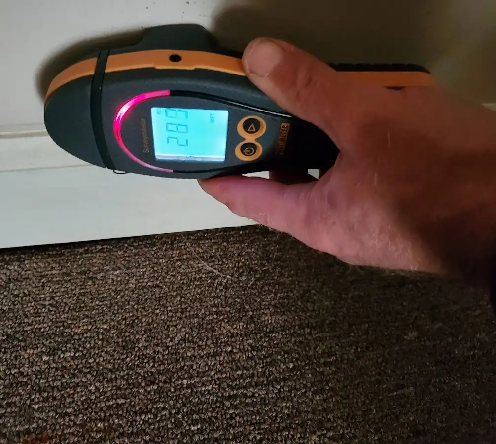 Moisture detection at baseboard during Sewage Cleanup & Sanitation in Palmer Town