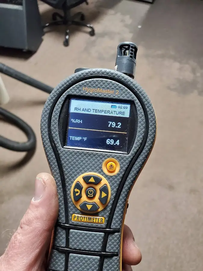 Moisture meter humidity assessment for Mold Remediation & Removal in Palmer Town